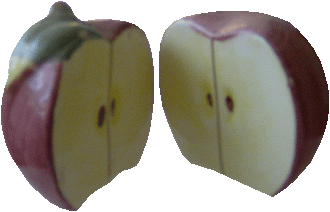 00204