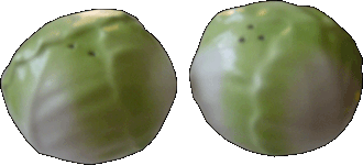 00405
