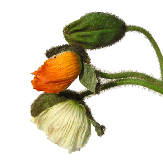 0206-(29)