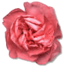24A