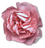 25A