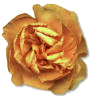 26A