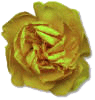27A