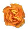 28A