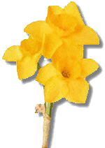 29A